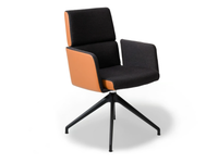 ds-414-office-chair-with-armrests-de-sede-426672-relca6d85e9.jpg thumb image